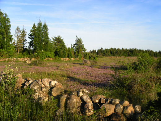 Alvedsj&ouml; alvar