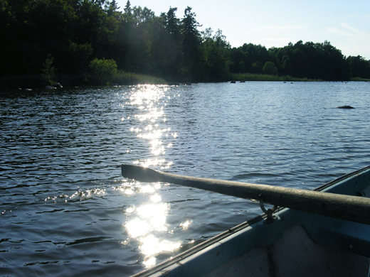 Hornsj&ouml;n