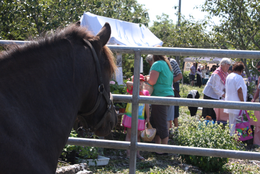 Hembygdsdag 2013