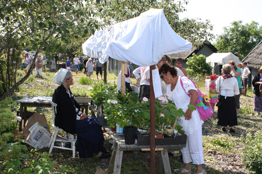 Hembygdsdag 2013