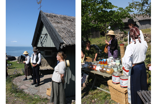 Hembygdsdag 2013